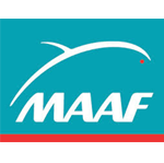 maaf